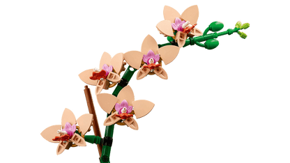 LEGO® Botanicals Mini Orchid