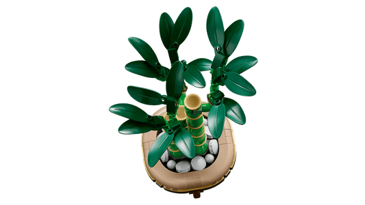 LEGO® Botanicals Lucky Bamboo