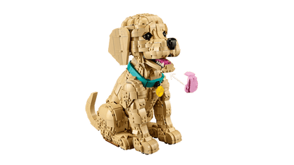 LEGO® Icons Golden Retriever Puppy